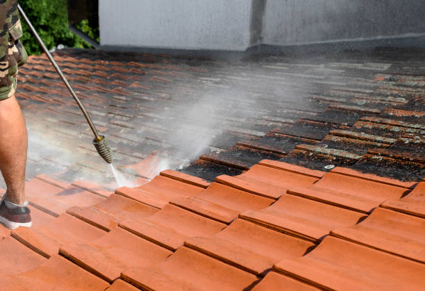 Best Pressure Washing Company Near Me  in Elwood, IL