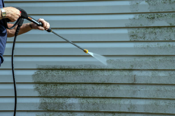 Best Roof Power Washing Services  in Elwood, IL