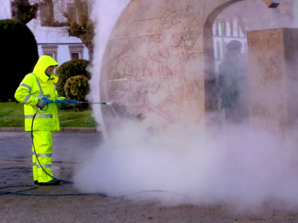 Best Pressure Washing Driveway  in Elwood, IL