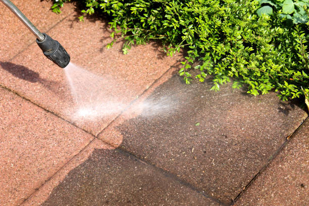 Best Local Pressure Washing Services  in Elwood, IL